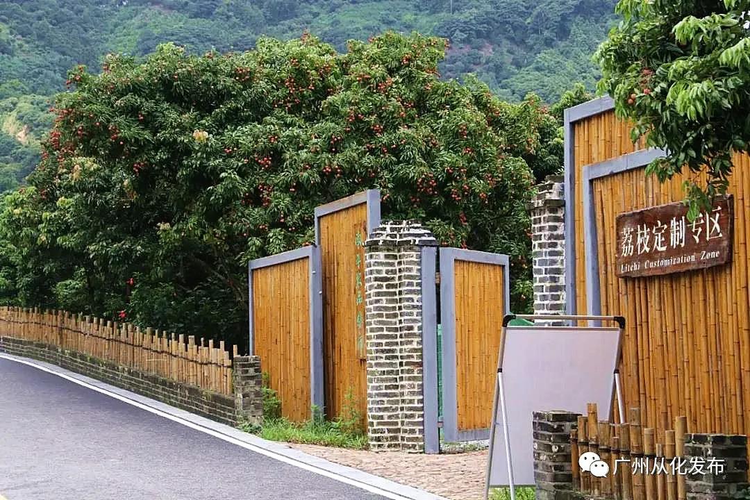 广州从化适合亲子游一日游,广州从化出游攻略