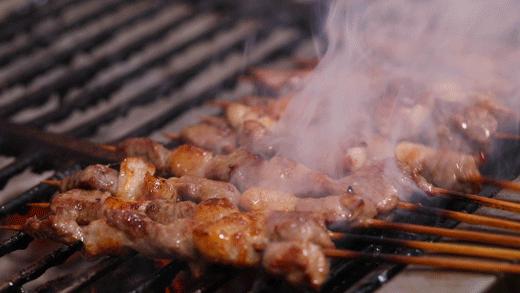 人类森林露营,人类高质量游览