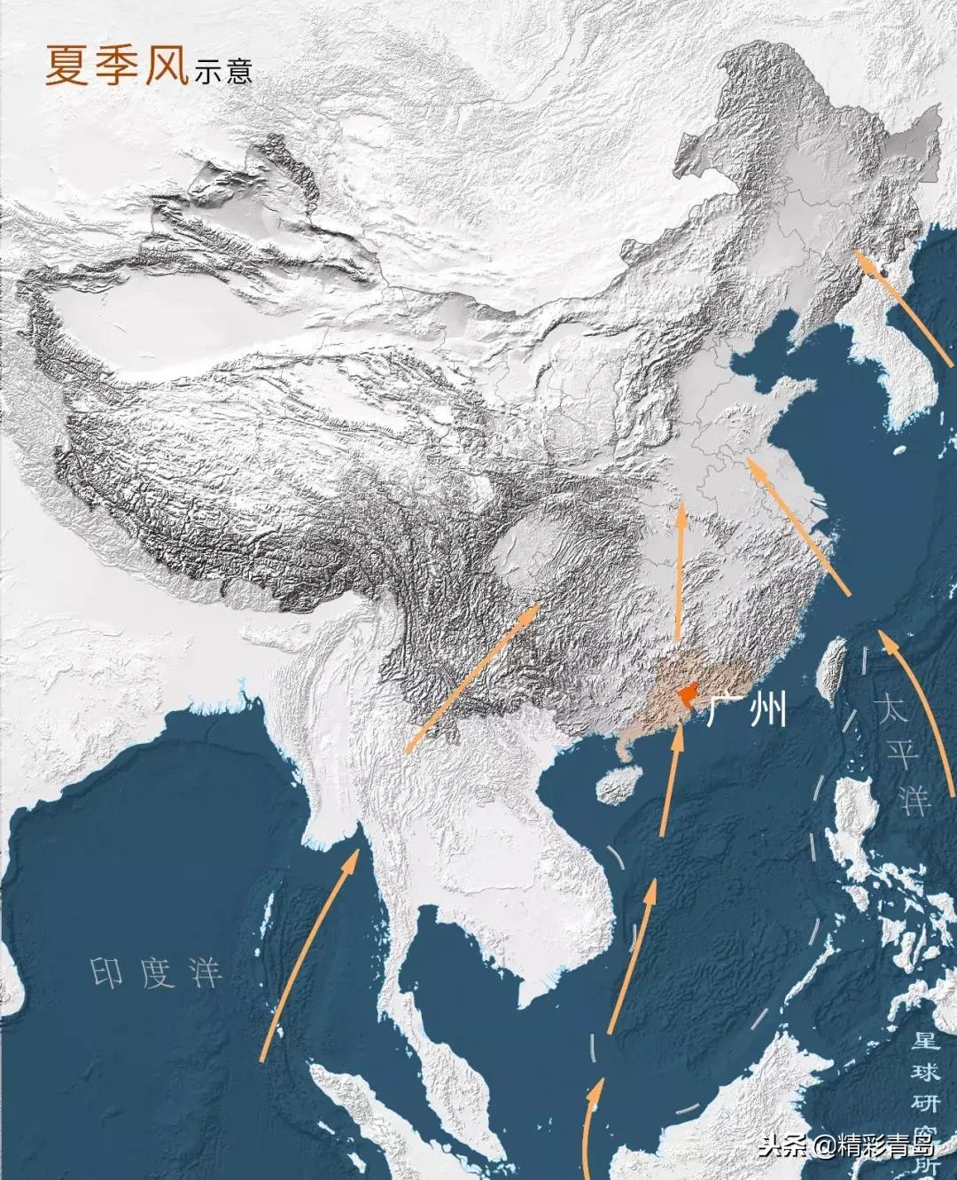 什么是麻雀定律,什么是应激反应表现有哪些