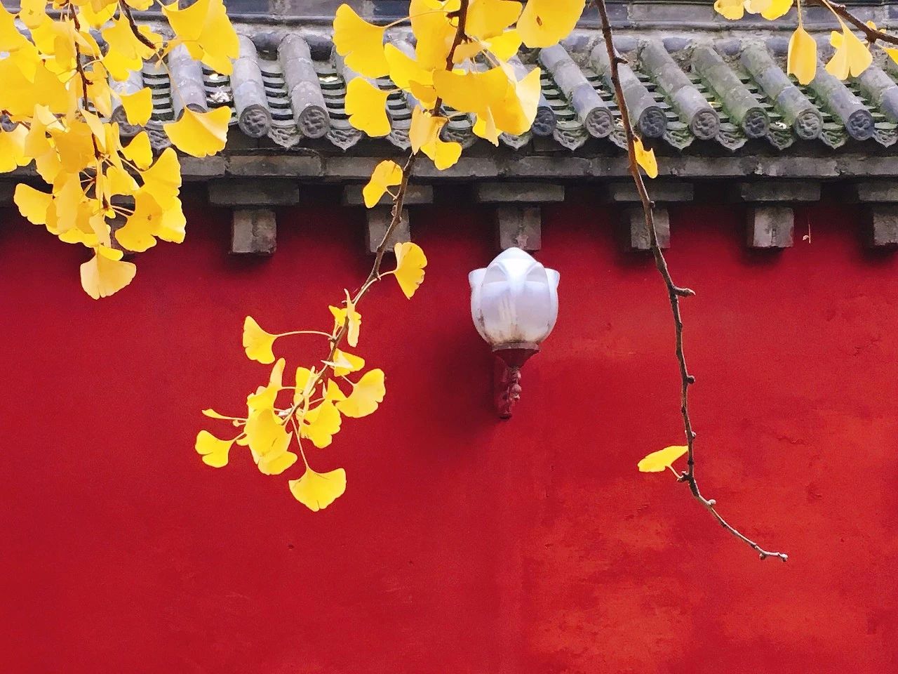 郑州漂亮的秋色风景,郑州的这些湖畔藏着最美的秋色