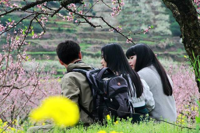 感念师恩的古诗100首,写感谢师恩的古诗词