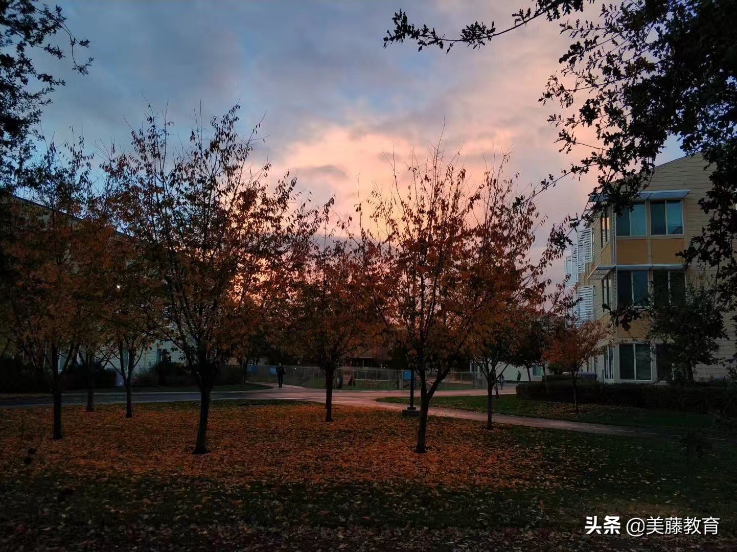 美国留学生申请西海岸名校,美国俄亥俄州立大学中国留学生