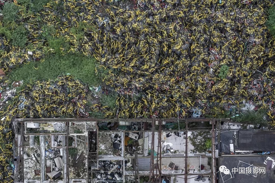 第七届全国摄影十杰获奖者,中国摄影年度人物排名