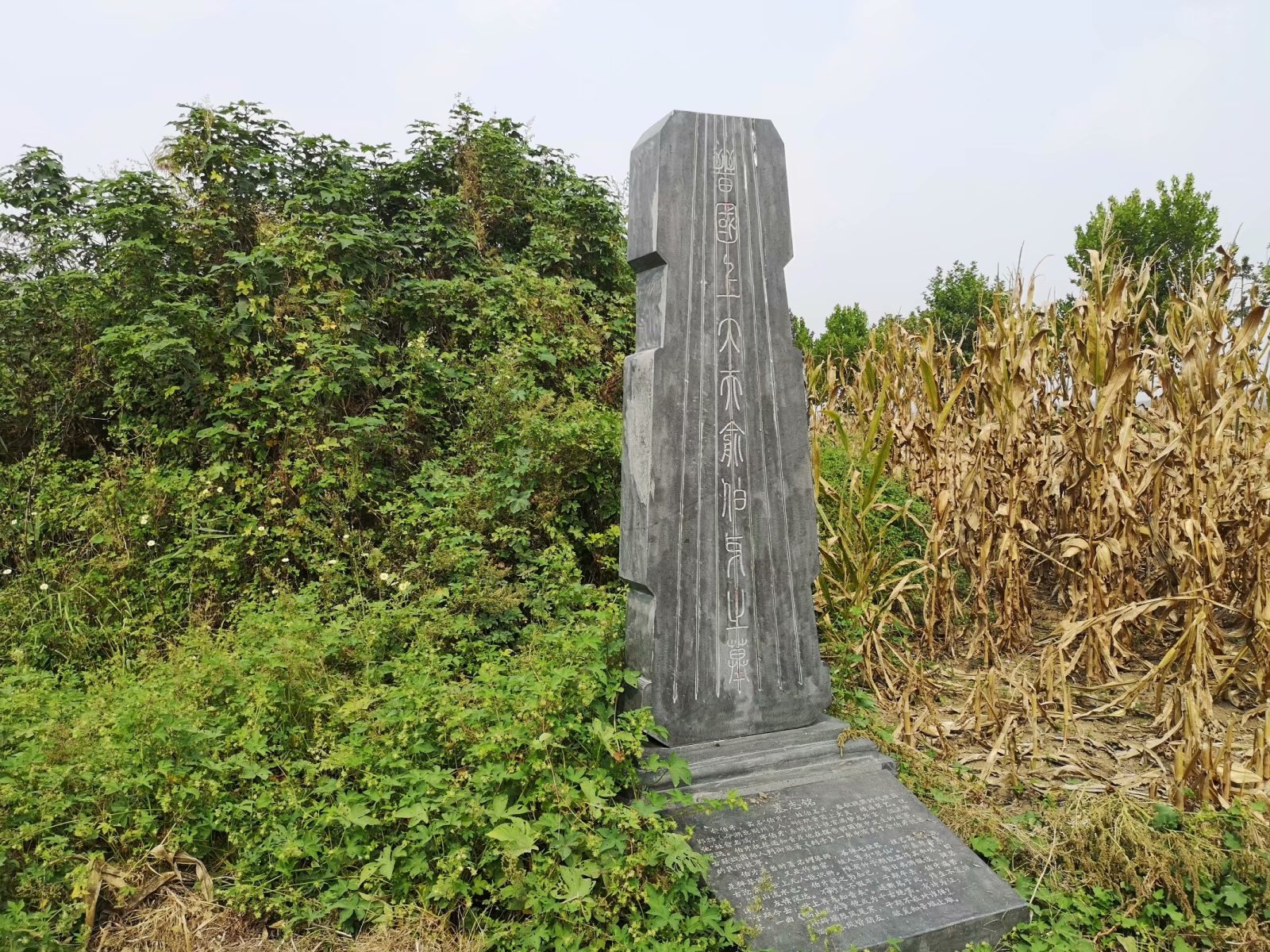 俞伯牙墓为什么在固镇,俞伯牙墓出土