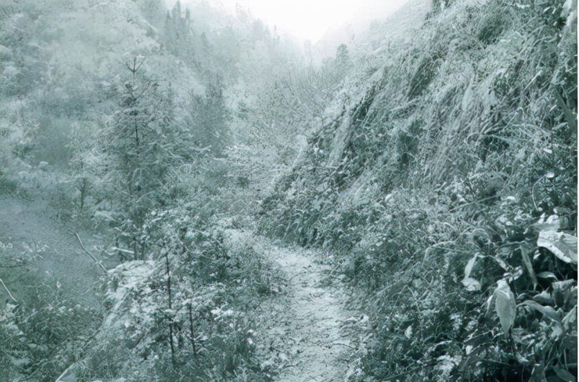 无穷之路最佳纪录片,无穷之路扶贫