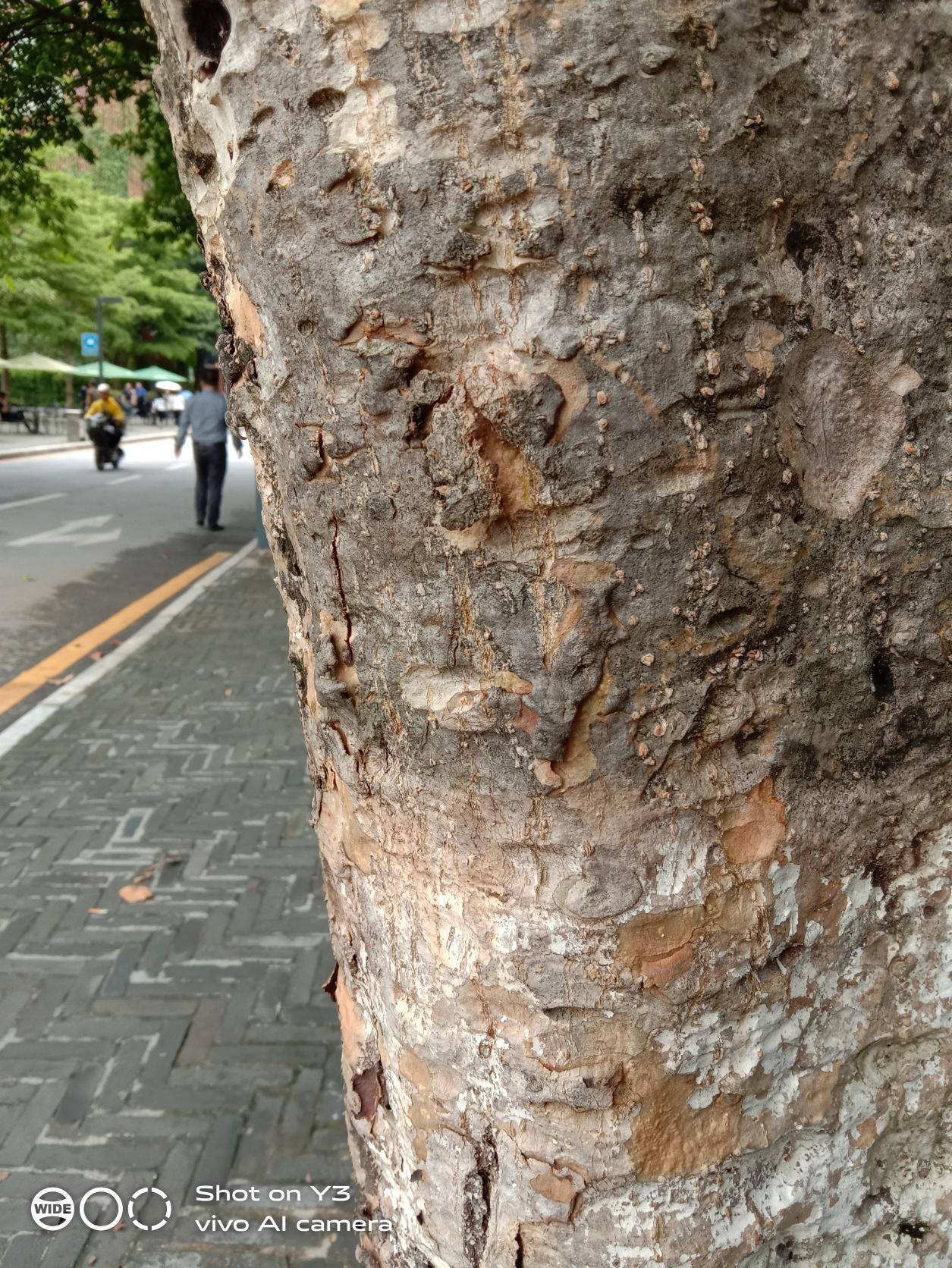 vivoy3标准版最好用的功能,vivoy3初桃粉好看吗