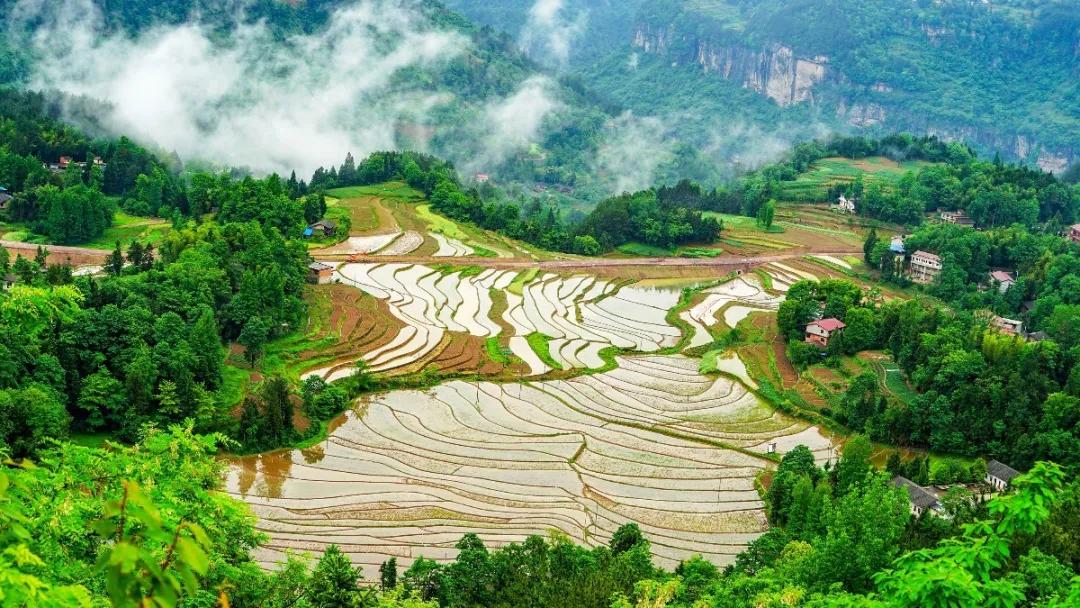 在利川避暑的武汉人,恩施武汉人避暑