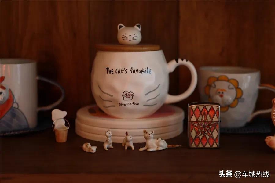 萌化了！十堰茅箭区首届撸猫节，周末约起