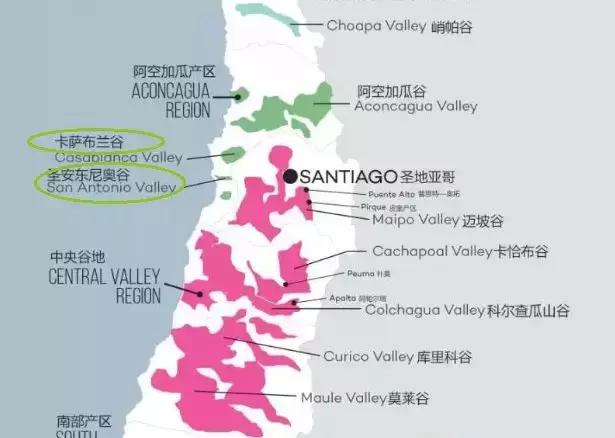 盲品了10多款西拉后，我总结了6国西拉的特点！