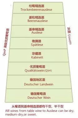 这些葡萄酒界常见的术语缩写,你都认识吗?