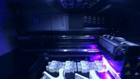 狗狗前脚分叉无力畸形,狗狗前脚畸形是什么样的