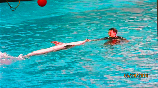 大连儿童节好去处,大连景区儿童节免费