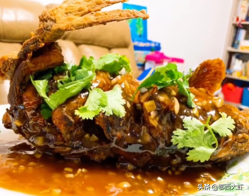 黑鱼鲫鱼的家常做法,黑鱼草鱼鲤鱼配方