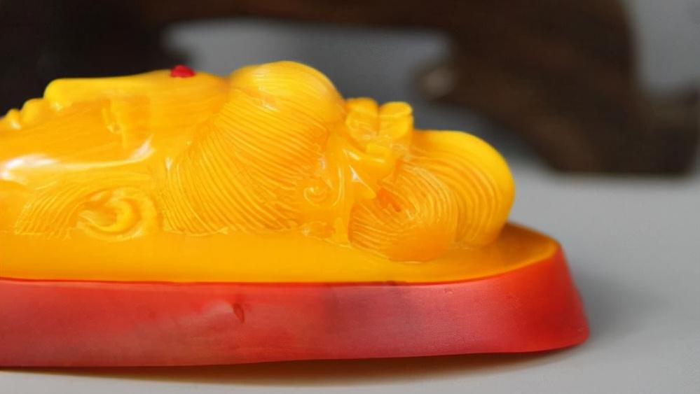 头骨最值钱鸟,头骨很珍贵的鸟