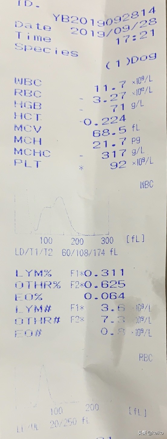 巴贝斯寄生虫治疗多久,巴贝斯寄生虫会传染人吗