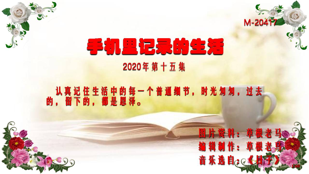 手机ppt制作教程视频入门,用手机把照片做成ppt咋做