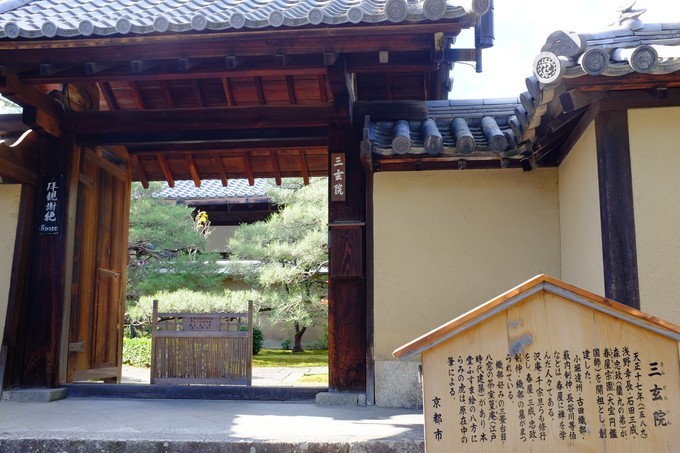 京都赏枫2022,京都赏枫必去景点有哪些好玩的