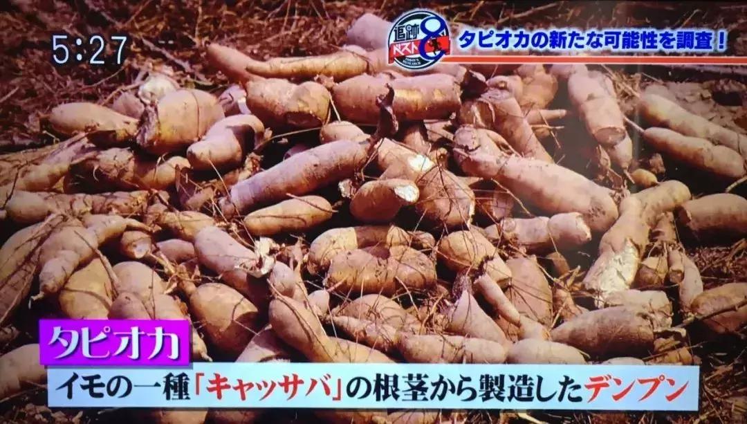 日本流行鼻孔塞珍珠自拍是什么梗？对不起，是我不懂时尚