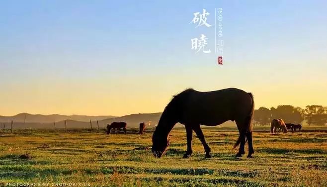 人体经络养生动作,中医养生按摩知识大全