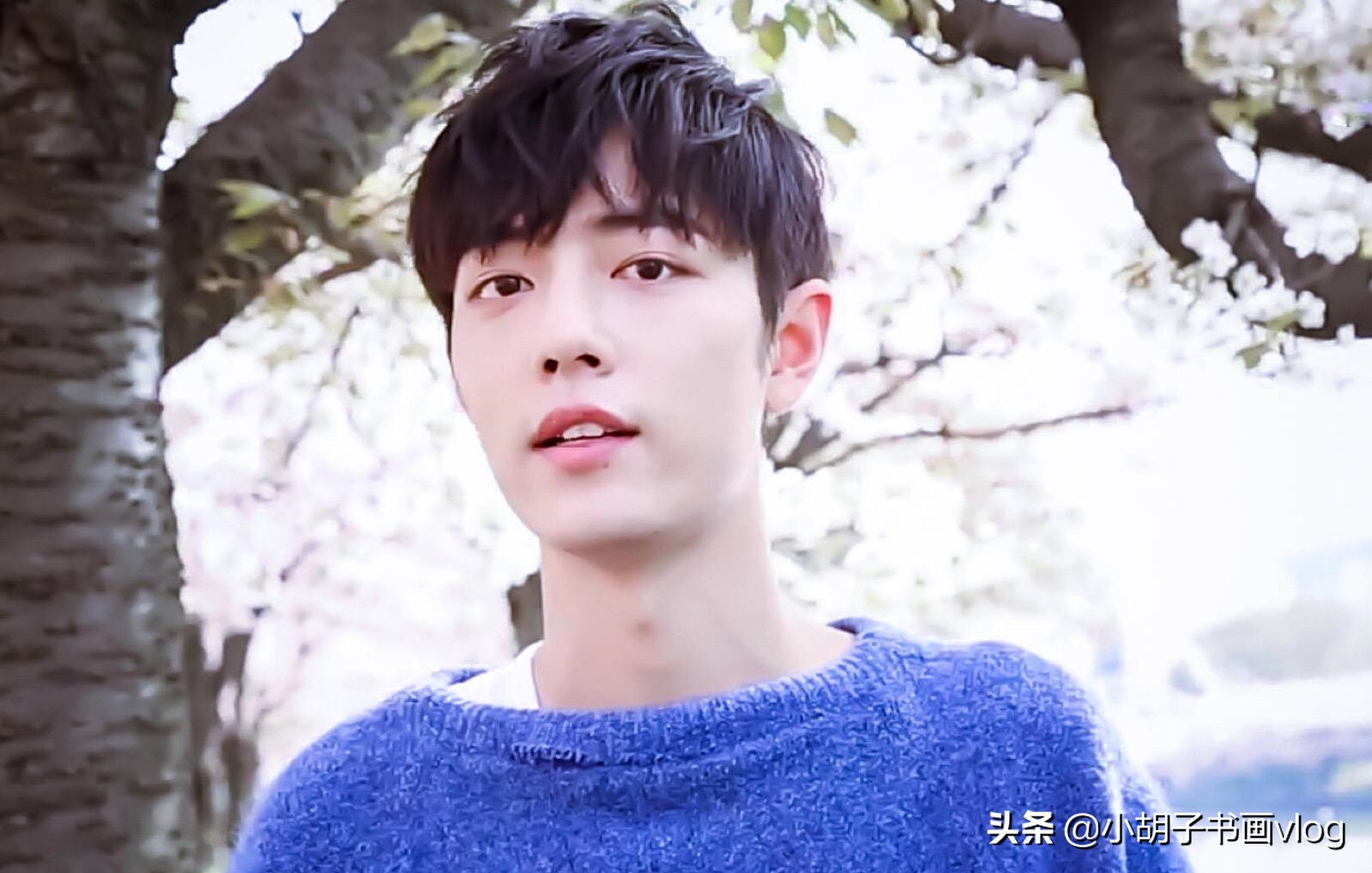 肖战梅花水墨画,肖战画梅花卡点