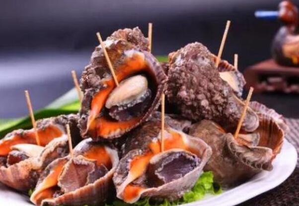 这个季节不能吃的海螺,海边人吃海螺的正确吃法