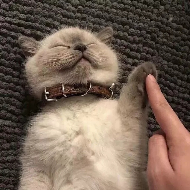 易经中的最吉利的微信头像招财,2024最招财带来好运的微信头像