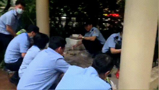 大雪纷飞坚守在抗疫一线的视频,深夜零下七度坚守抗疫一线