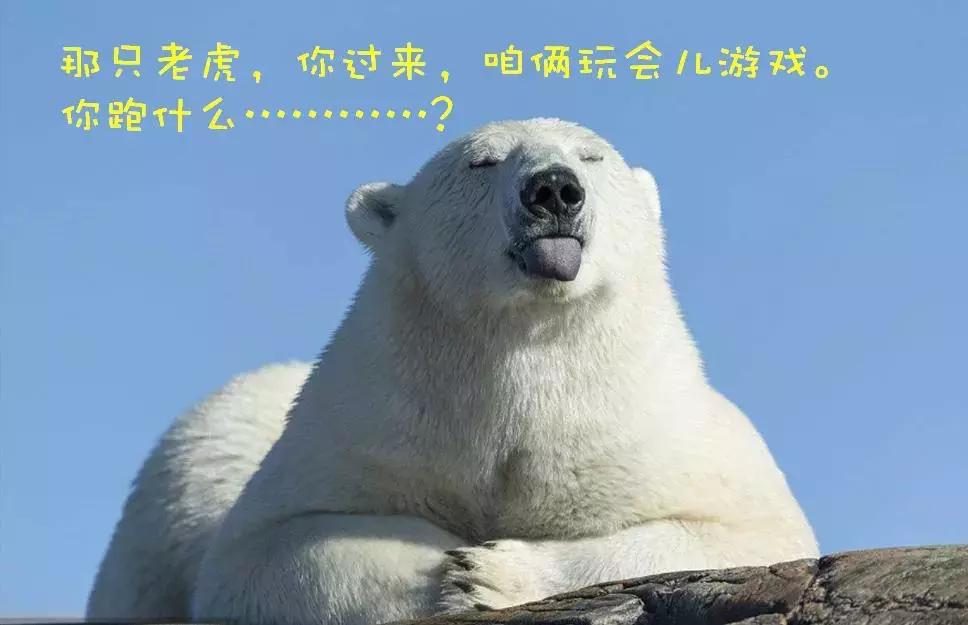 关于美国人喜欢皮卡的你不知道的秘密