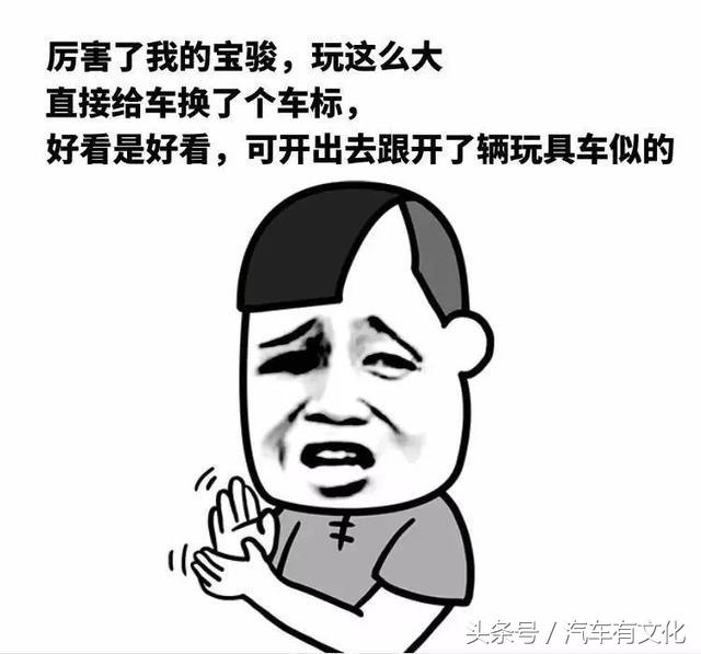 宝骏530可以换新标吗,宝骏530车标大全