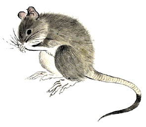 2018年这五大生肖财运亨通,今年哪几个生肖财运好一点