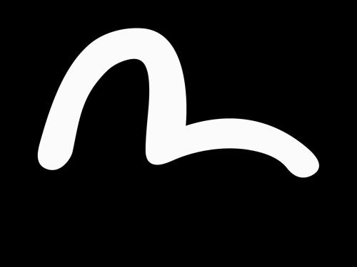 韩国evisu代购男,韩国代购口中的evisu