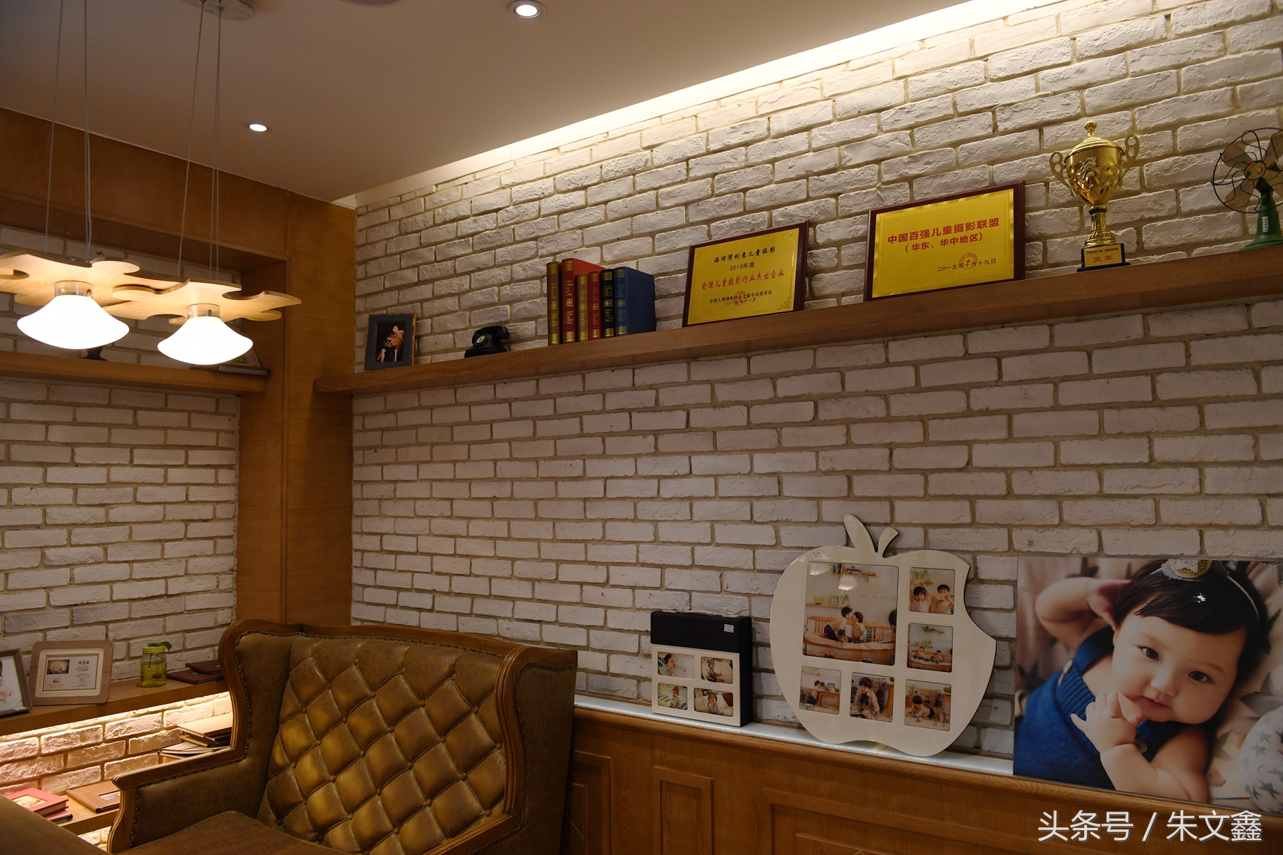 群雁高飞头雁领什么意思,群雁高飞