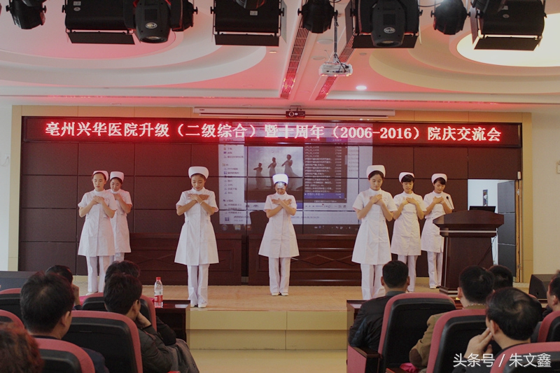 群雁高飞头雁领什么意思,群雁高飞