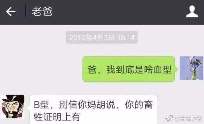 和父母打错字搞笑聊天记录,父母微信聊天打错字搞笑