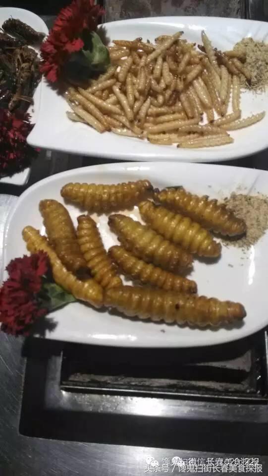 苍蝇小馆长春,长春有名的苍蝇小馆子