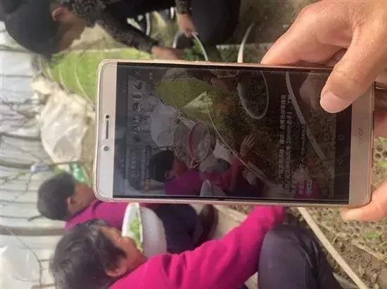 如东一老农直播这玩意儿，爆红网络......