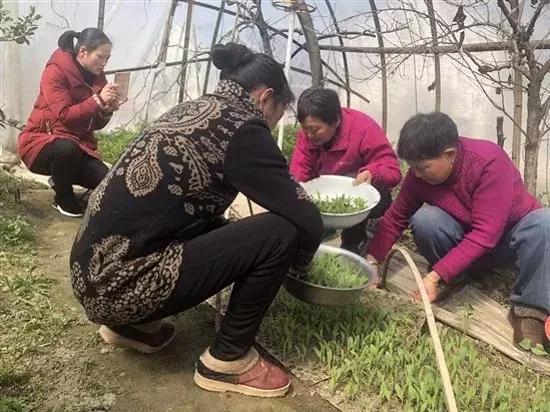 如东一老农直播这玩意儿，爆红网络......