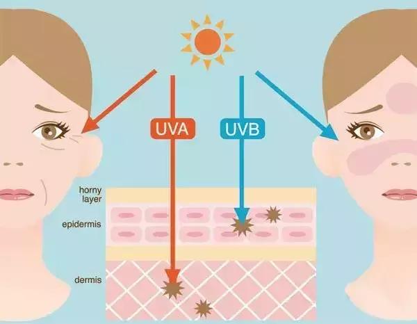 十款最好用的防晒霜,自用款无限回购防晒霜