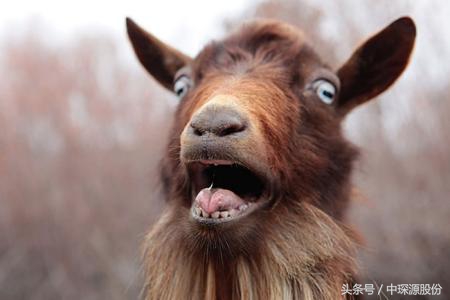 警察叔叔霸气文案,警察蜀黍文案