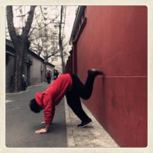 想学倒立走初学,想学倒立哪种倒立更容易学