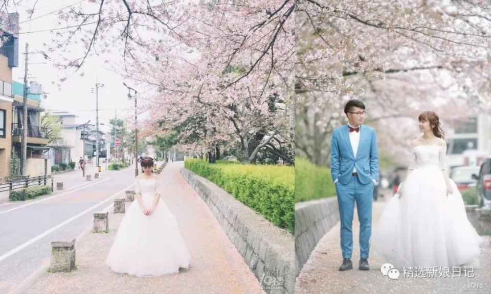 不用去日本不用去武汉就能看樱花,不用去日本就能看到日本风景