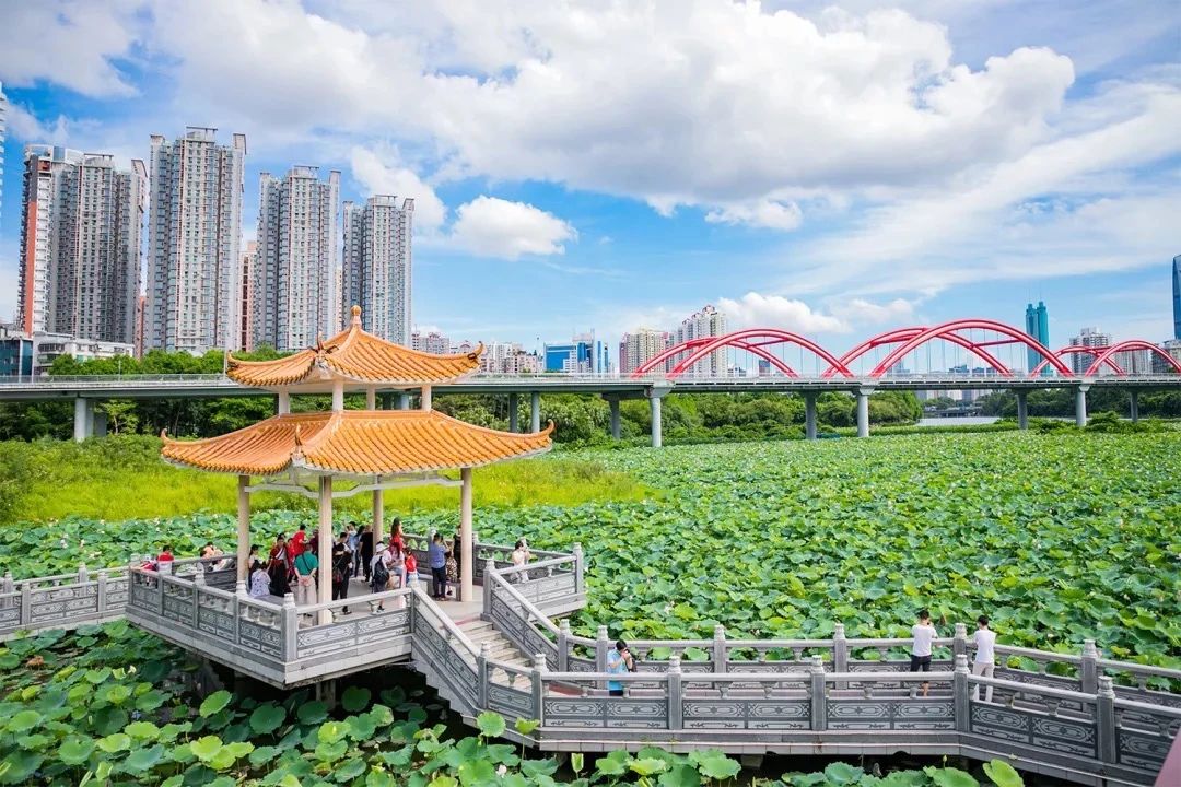 天下最美湖泊西湖,比西湖更美的湖泊