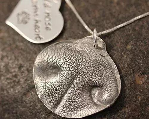 因为太爱狗鼻子，这帮老外搞了个“拜黑鼻头”神教！