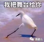 我用过敏、痘痘、水光针的脸，测评了4款“网红”面膜