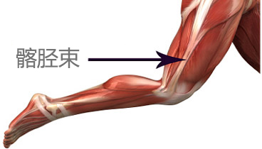 每天练习深蹲伤膝盖吗,每天练深蹲膝盖疼
