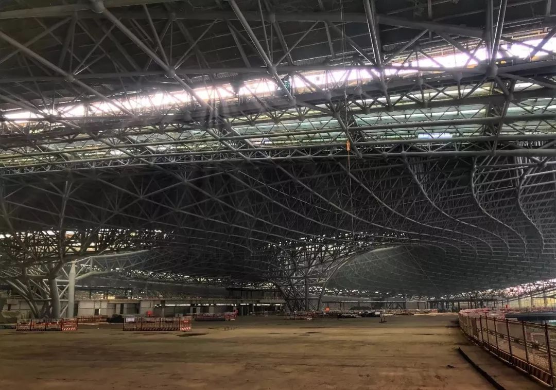 霉霉紫色香水广告,霉霉新mv里的香槟女