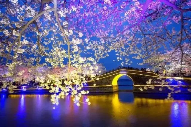 最美樱花季，国内外赏樱攻略在此！好看，好吃，好买！