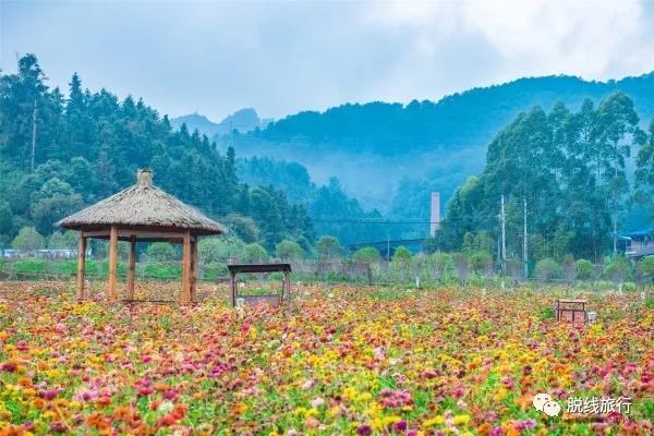 一秒钟搞定“花痴”攻略，别说我没帮你~