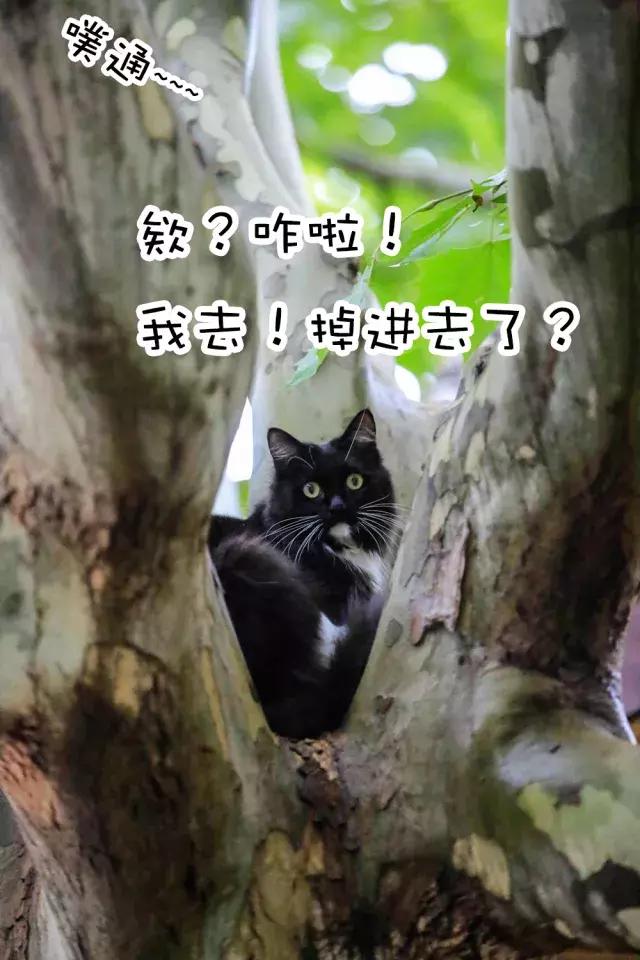 鐚眴妗堜欢,鐚眴鐩存挱琚墦浜嬩欢鍚庣画