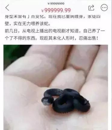 闲鱼上低价商品靠谱吗,某鱼买家下单联系不上买家怎么办